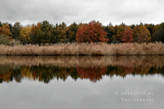 Diemerpolder_Reflection_Fall_scenery_Landscape_Nature_Photography_003_Canon_EOS_R5_Mark_II.JPG