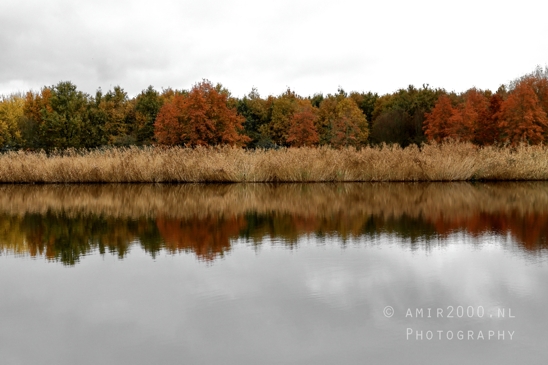 Diemerpolder_Reflection_Fall_scenery_Landscape_Nature_Photography_004_Canon_EOS_R5_Mark_II.JPG