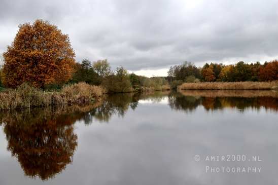 Diemerpolder_Reflection_Fall_scenery_Landscape_Nature_Photography_005_Canon_EOS_R5_Mark_II.JPG
