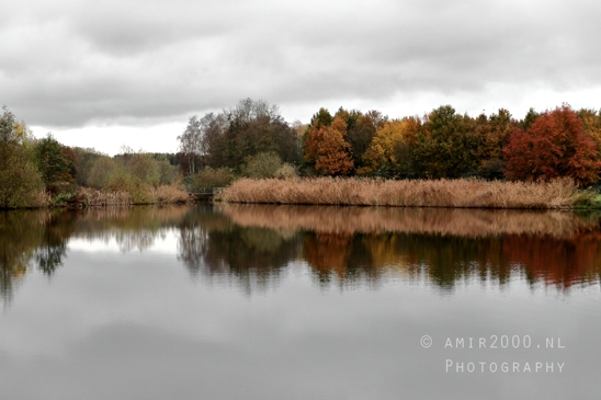 Diemerpolder_Reflection_Fall_scenery_Landscape_Nature_Photography_006_Canon_EOS_R5_Mark_II.JPG