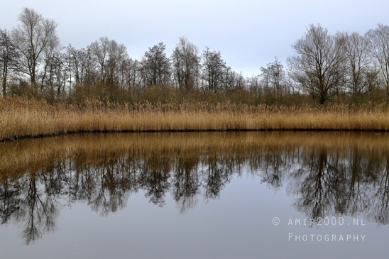 Diemerpolder_Reflection_Fall_scenery_Landscape_Nature_Photography_011_Canon_EOS_R5_Mark_II.JPG