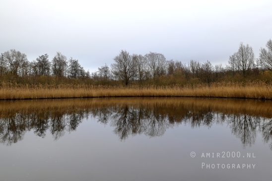 Diemerpolder_Reflection_Fall_scenery_Landscape_Nature_Photography_012_Canon_EOS_R5_Mark_II.JPG
