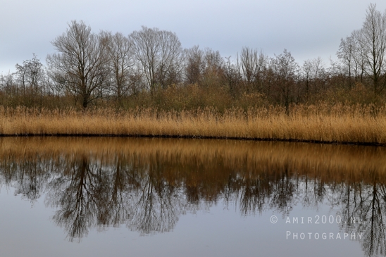 Diemerpolder_Reflection_Fall_scenery_Landscape_Nature_Photography_013_Canon_EOS_R5_Mark_II.JPG