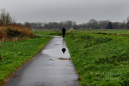 Diemerpolder_Reflection_Fall_scenery_Landscape_Nature_Photography_014_Canon_EOS_R5_Mark_II.JPG