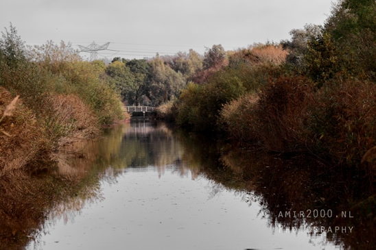 Fall_Autumn_scenery_Dutch_Nature_Landscape_Photography_008_Canon_EOS_R5_Mark_II.JPG