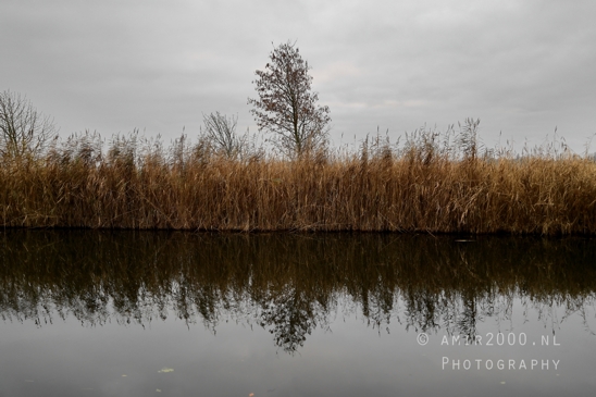 Gein_between_Driemond_and_Abcoude_Reflection_Fall_scenery_Landscape_Nature_Photography_011_Canon_EOS_R5_Mark_II.JPG