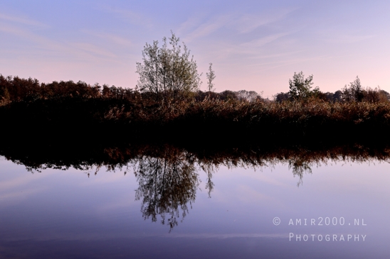 Het_Twiske_recreation_park_Noord_Holland_Nature_Landscape_Photography_010_Canon_EOS_R5_Mark_II.JPG