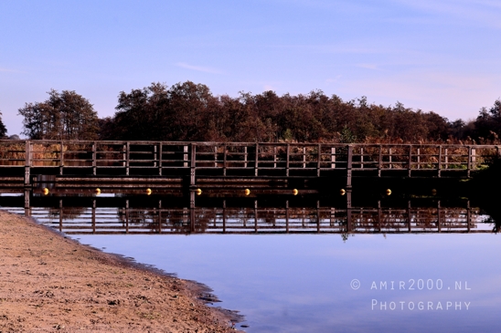 Het_Twiske_recreation_park_Noord_Holland_Nature_Landscape_Photography_013_Canon_EOS_R5_Mark_II.JPG