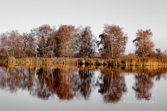 Het_Twiske_recreation_park_Noord_Holland_Nature_Landscape_Photography_014_Canon_EOS_R5_Mark_II.JPG