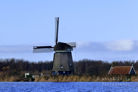 Het_Twiske_recreation_park_Noord_Holland_Nature_Landscape_Photography_024_Canon_EOS_R5_Mark_II.JPG