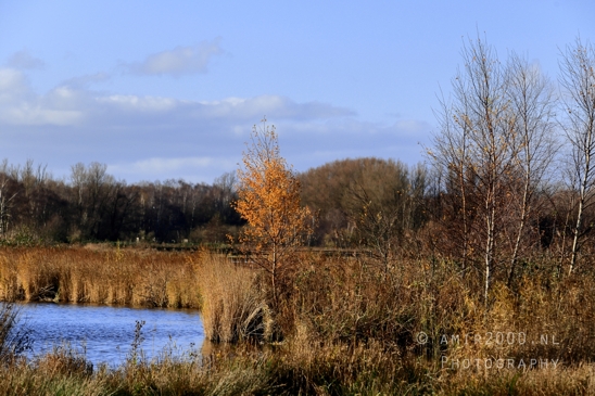 Het_Twiske_recreation_park_Noord_Holland_Nature_Landscape_Photography_032_Canon_EOS_R5_Mark_II.JPG