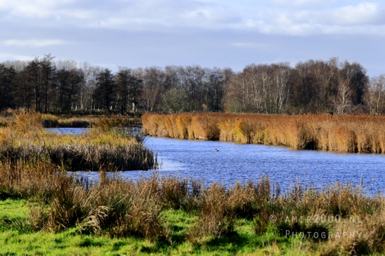 Het_Twiske_recreation_park_Noord_Holland_Nature_Landscape_Photography_034_Canon_EOS_R5_Mark_II.JPG