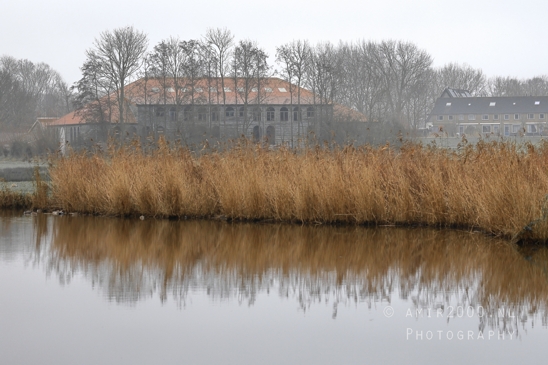 Middelpolder_Amstelveen_Landscape_Fall_scenery_Nature_Netherlands_Photography_006_Canon_EOS_R5_Mark_II.JPG