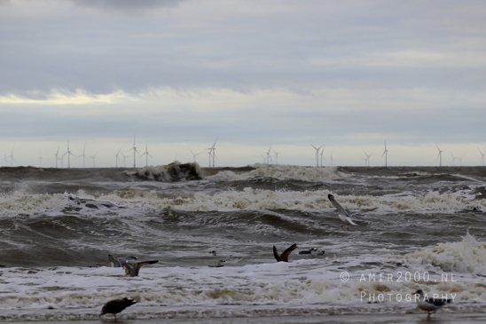 North_Sea_Zandvoort_Nature_Landscape_Photography_011_Canon_EOS_R5_Mark_II.JPG