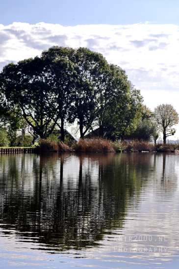 Trees_Reflected_In_Water_Closeup_Nature_Landscape_Photography_001_Canon_EOS_R5_Mark_II.JPG