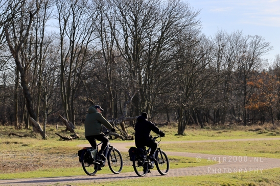 Zuid_Kennemerland_National_Park_Fall_scenery_Nature_Landscape_Photography_006_Canon_EOS_R5_Mark_II.JPG