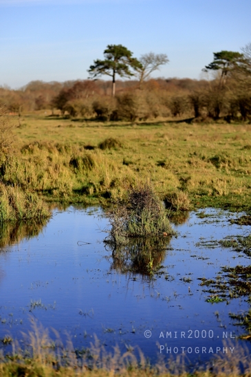 Zuid_Kennemerland_National_Park_Fall_scenery_Nature_Landscape_Photography_013_Canon_EOS_R5_Mark_II.JPG