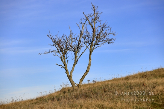 Zuid_Kennemerland_National_Park_Fall_scenery_Nature_Landscape_Photography_016_Canon_EOS_R5_Mark_II.JPG