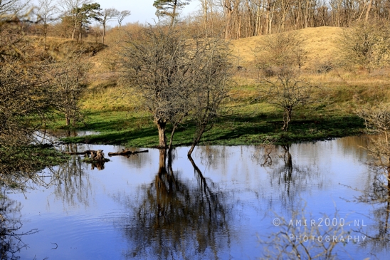 Zuid_Kennemerland_National_Park_Fall_scenery_Nature_Landscape_Photography_017_Canon_EOS_R5_Mark_II.JPG