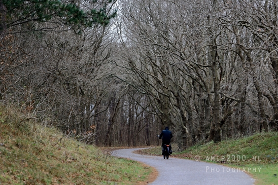Zuid_Kennemerland_National_Park_Fall_scenery_Nature_Landscape_Photography_024_Canon_EOS_R5_Mark_II.JPG