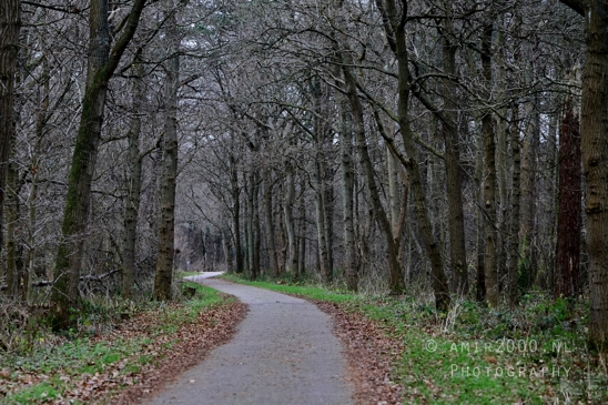 Zuid_Kennemerland_National_Park_Fall_scenery_Nature_Landscape_Photography_027_Canon_EOS_R5_Mark_II.JPG