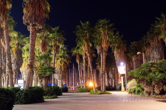 Tel_Aviv_Jaffa_at_night_scenery_city_cityscape_urban_street_long_exposure_Tel-Aviv_Israel_Aviv-jaffa_Photography_043_Canon_EOS_R5_Mark_II.JPG