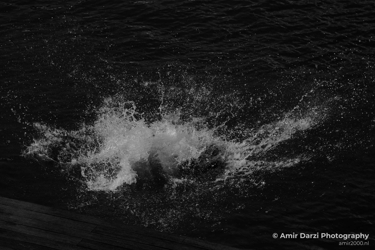 Black and white in Amsterdam Netherlands from People Creative Collection series Photo 7