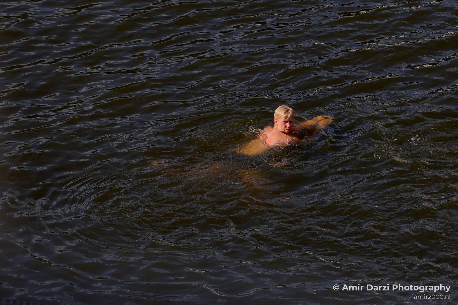 Man Swimming in the Canal Amsterdam Netherlands People Creative from People Creative Collection series