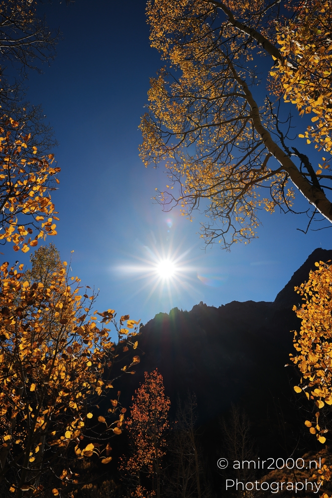 Low angle sunstar through aspen branches, hard light, faint lens flare above dark ridge silhouette.