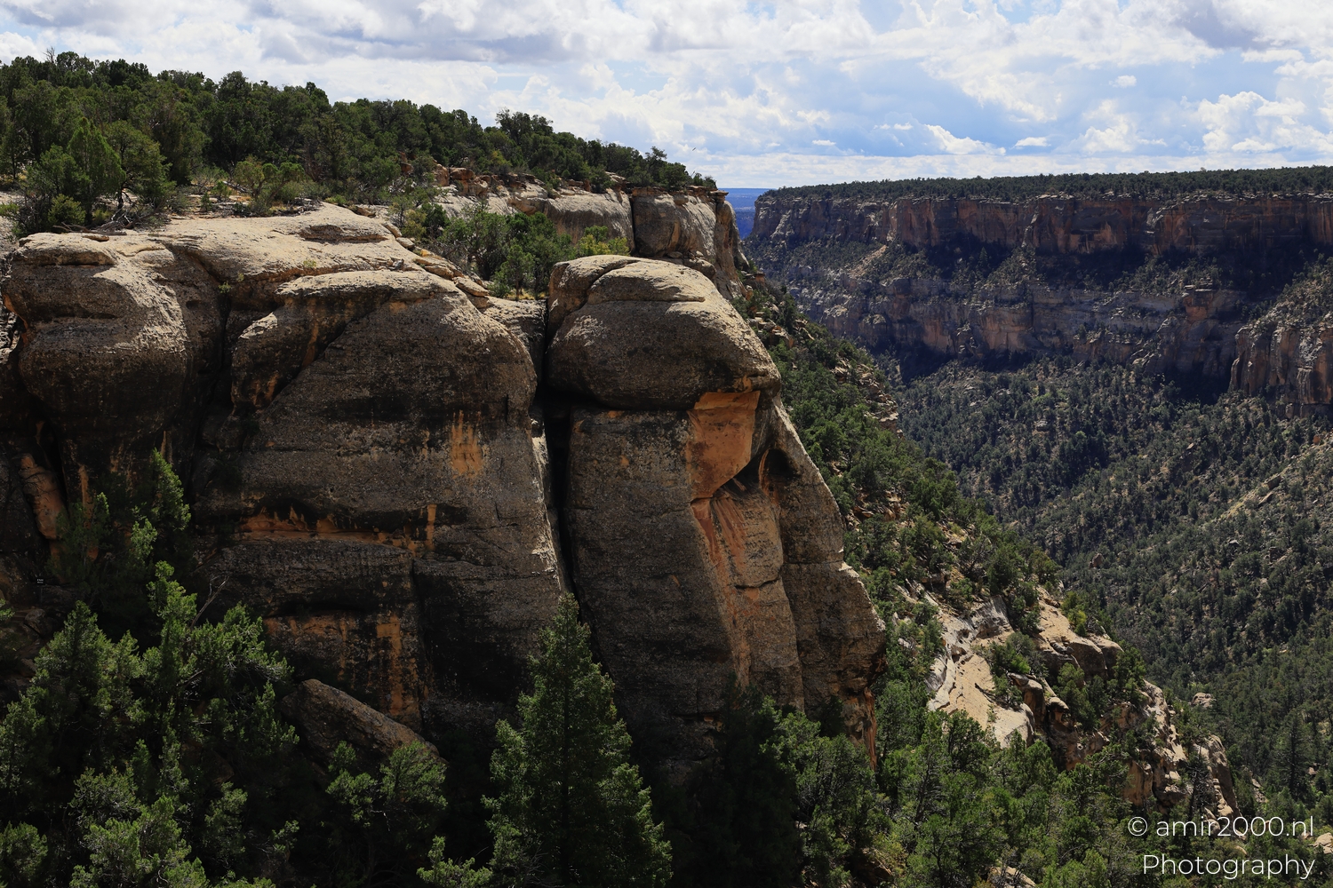 Rocky canyon rim and forested ravine, wide viewpoint in midday light, cracked sandstone ledge.