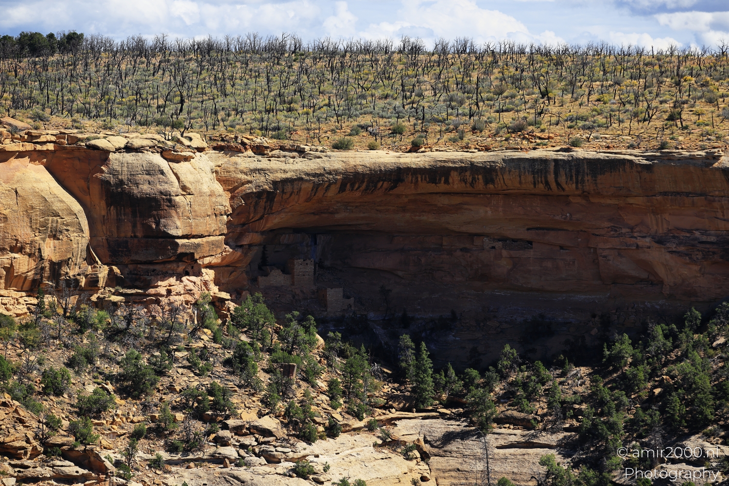 Ancient cliff dwelling walls in deep alcove shade, mid range view with leafy shrubs.