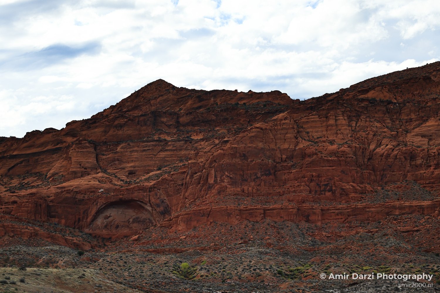 Sparse vegetation on a rocky outcrop amidst red sandstone cliffs and canyons.
