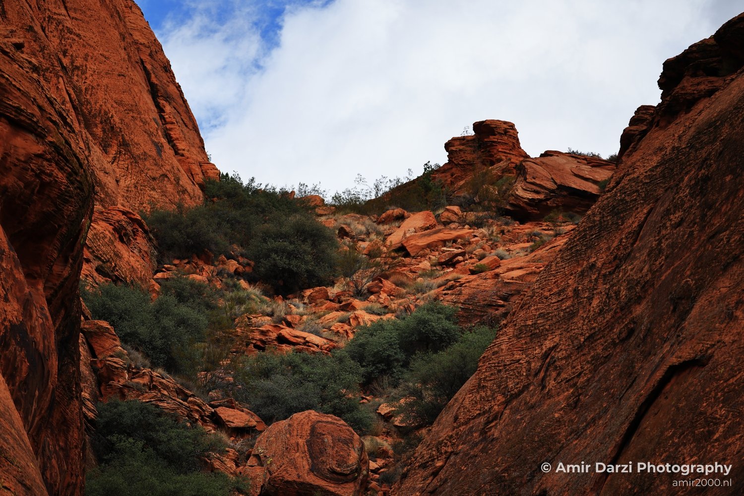 A rugged desert landscape with red cliffs on Jenny Canyon Trail.