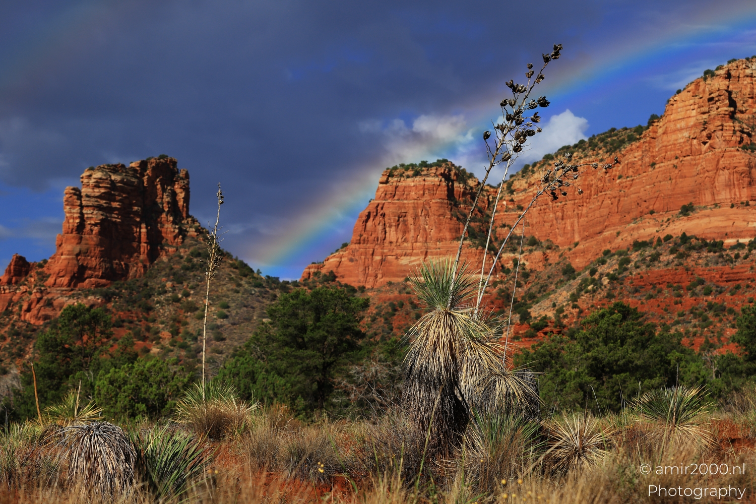 Bell Rock and desert shrubs from low viewpoint, sunlit rocks, faint rainbow arc in gray sky.