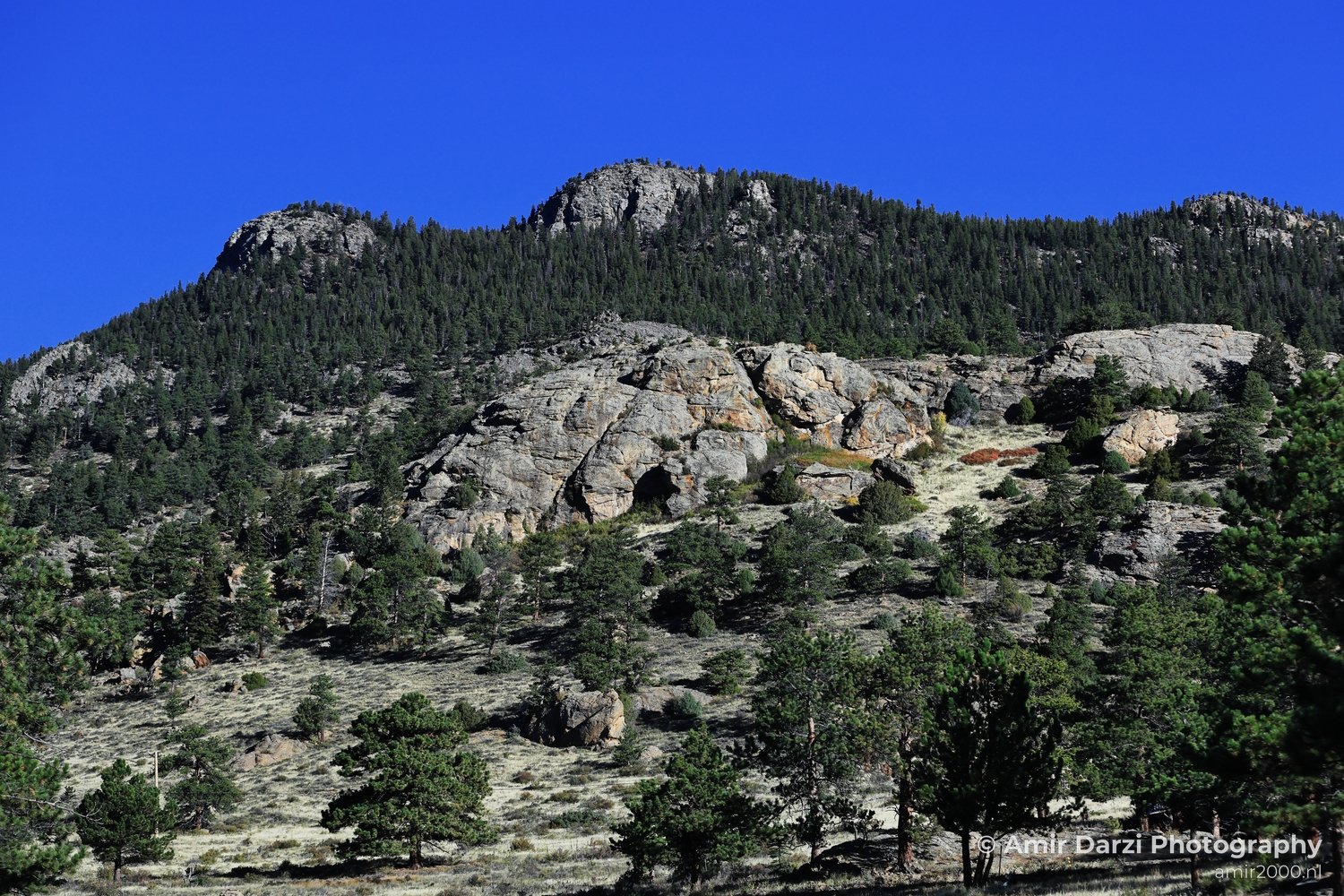 Forest-edge view of natural landscape in mountain weather with distant peaks and tree-lined slopes in Estes Park Colorado.