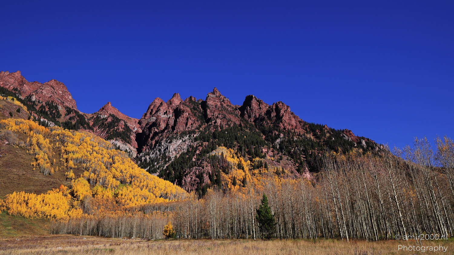 Red rock ridge above yellow aspens, crisp daylight, slender pale trunks leaning across meadow.