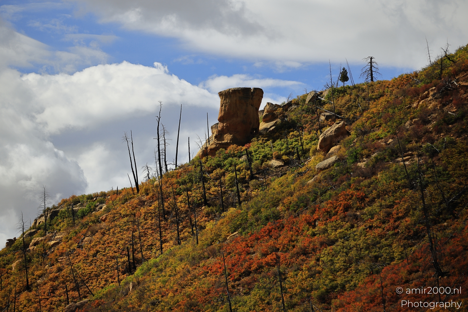 Autumn hillside with boulders and bare trunks, telephoto view in broken cloud light, lone rock pillar.