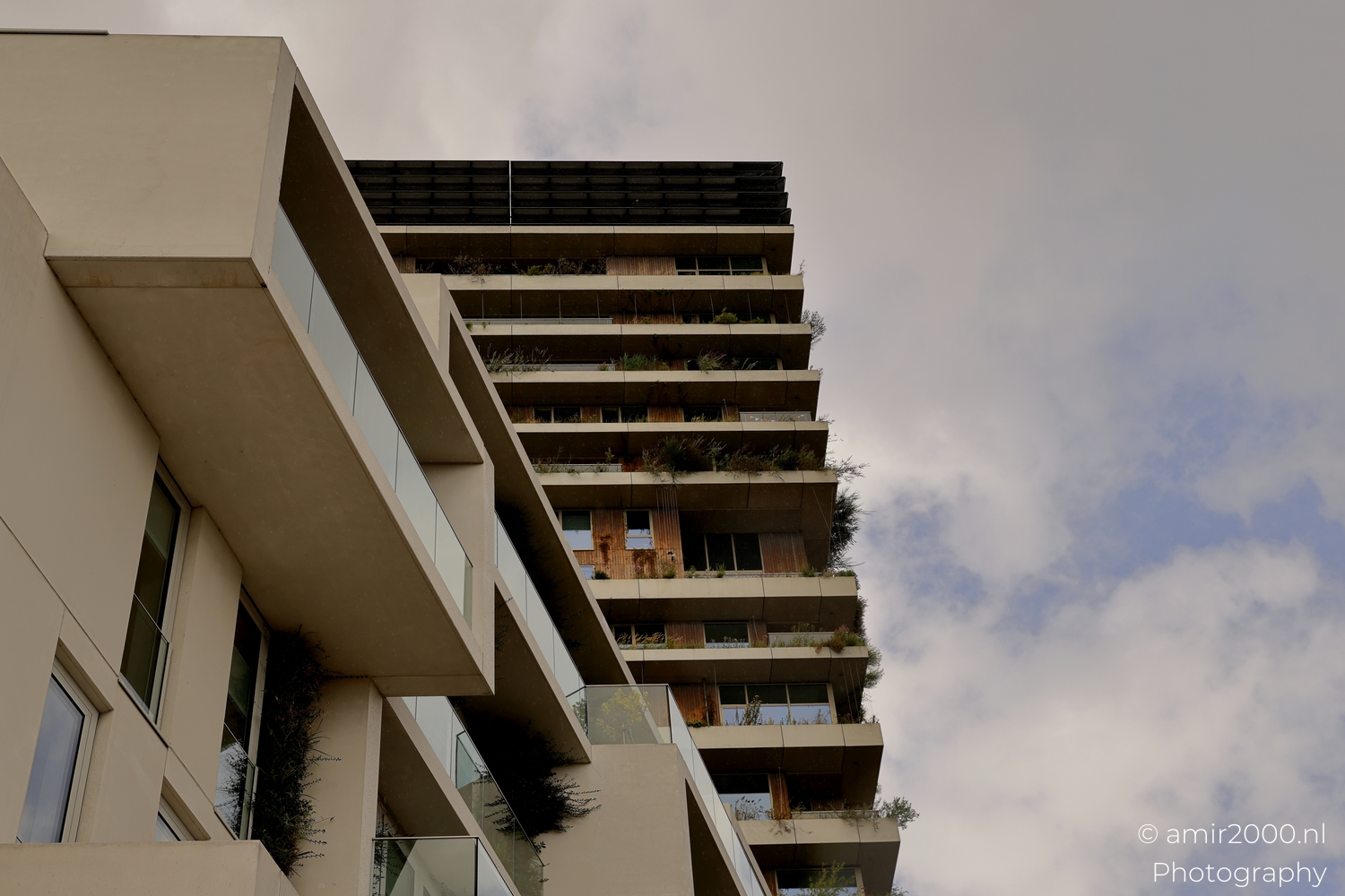 Lower terraces of Vertical Sloterdijk with warm timber rails glass balustrades and shrubs at the edges