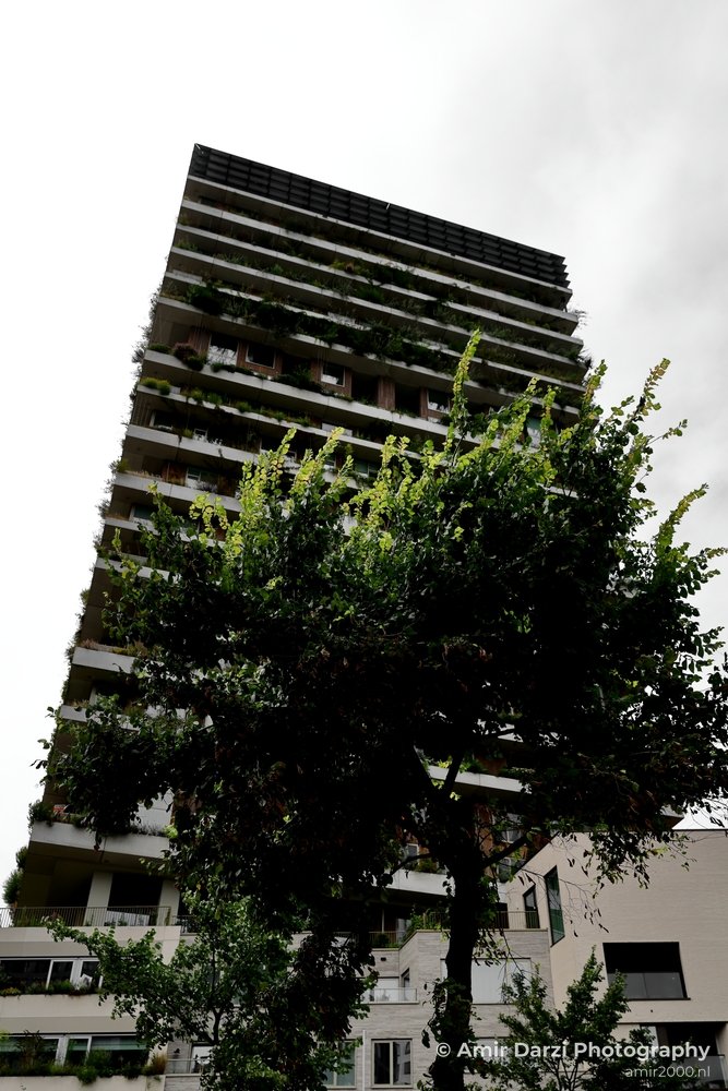 Amsterdam Vertical Living in a vertical garden Amsterdam Netherlands Architecture Photo 8