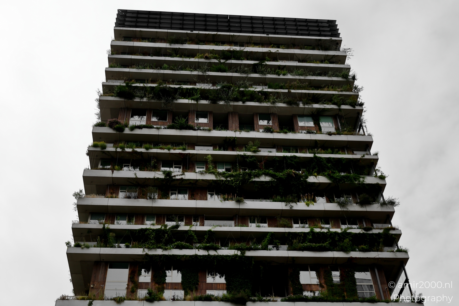 Lower terraces of Vertical Sloterdijk with warm timber rails glass balustrades and shrubs at the edges