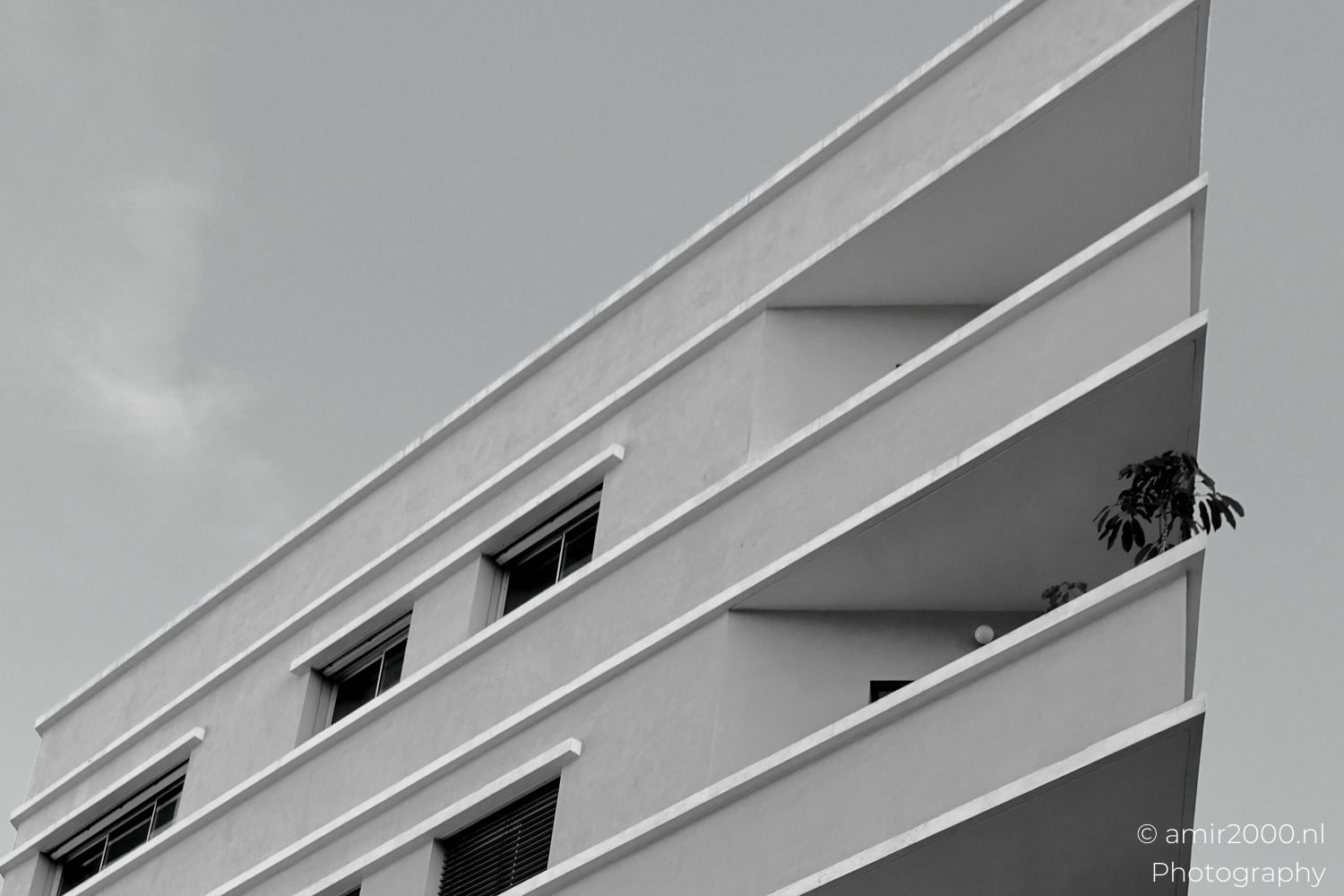Geometry and Stillness on King George Street