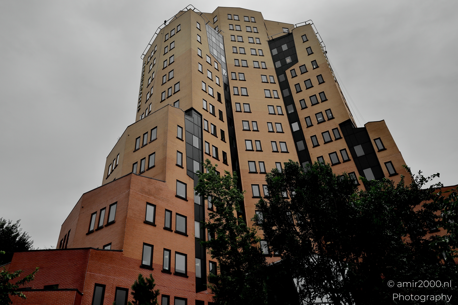 Wide view of Teleport Towers with foreground trees breaking the grid of windows in Amsterdam Sloterdijk