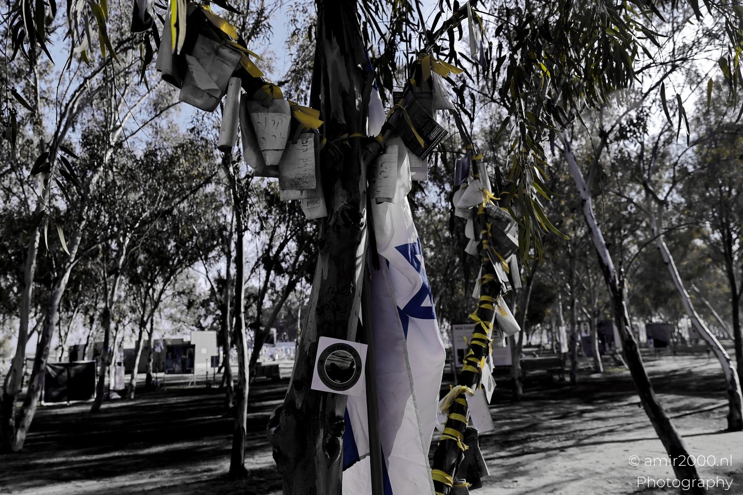 Reem Forest Nova Party October 7 Memorial South Israel Blog Photo 8
