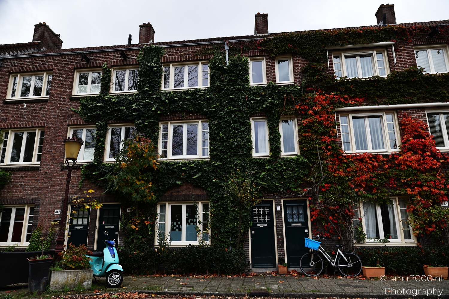 Row of brick houses with green and red ivy, a scooter, bicycle, and pavement
