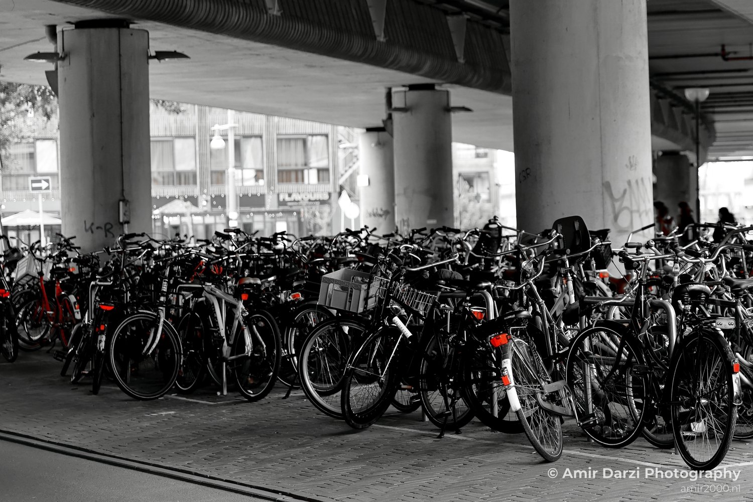 Bicycle Parking Lot at Station Sloterdijk Amsterdam Netherlands Miscellaneous Photo 3