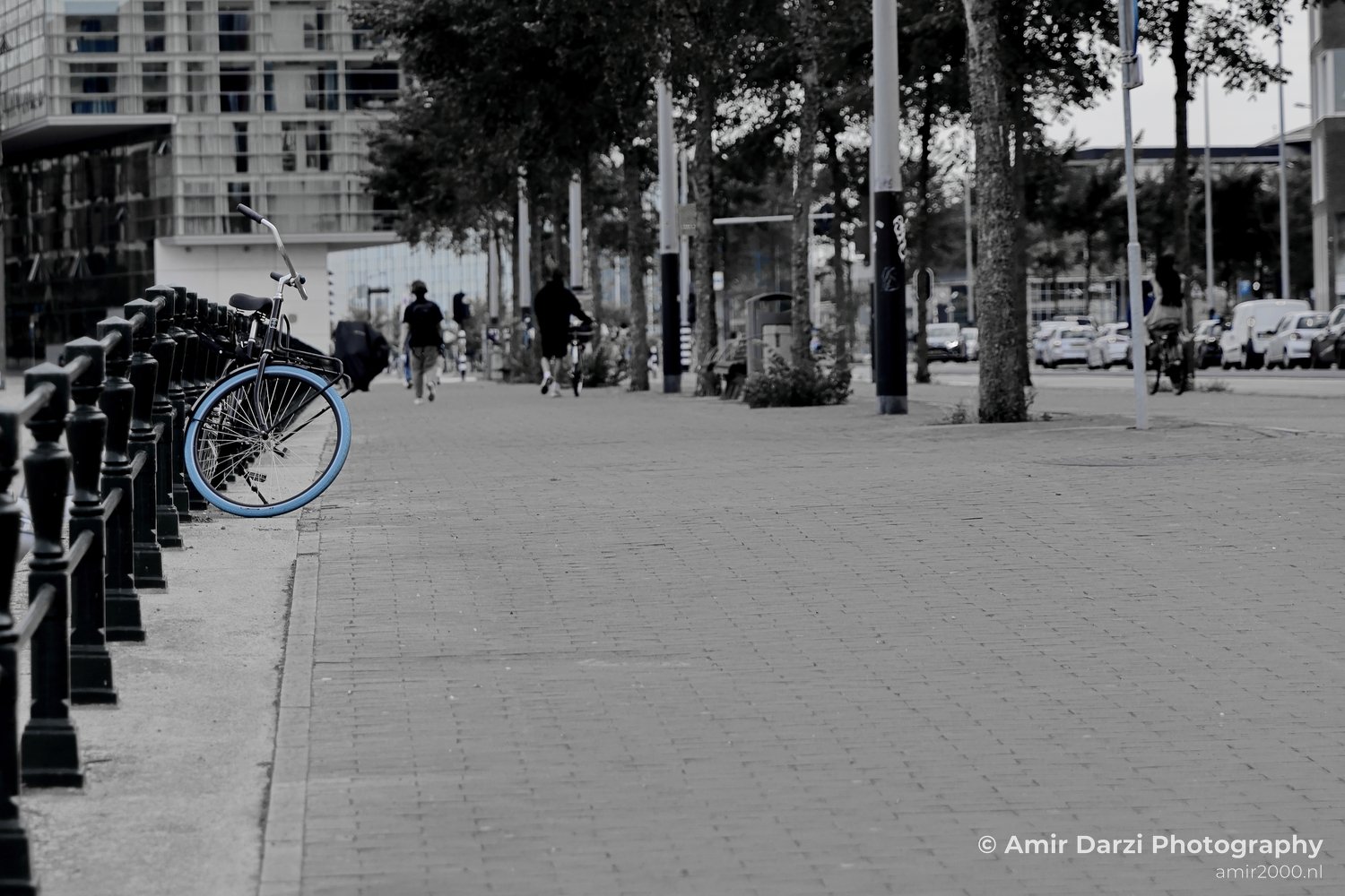 City of bicycles Amsterdam Netherlands Miscellaneous Photo 5