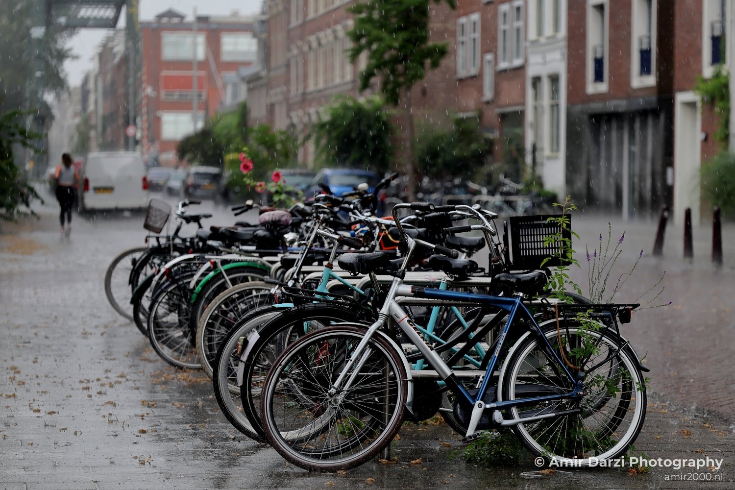 Rainy Day City of Bicycle Amsterdam Netherlands Miscellaneous Photo 1