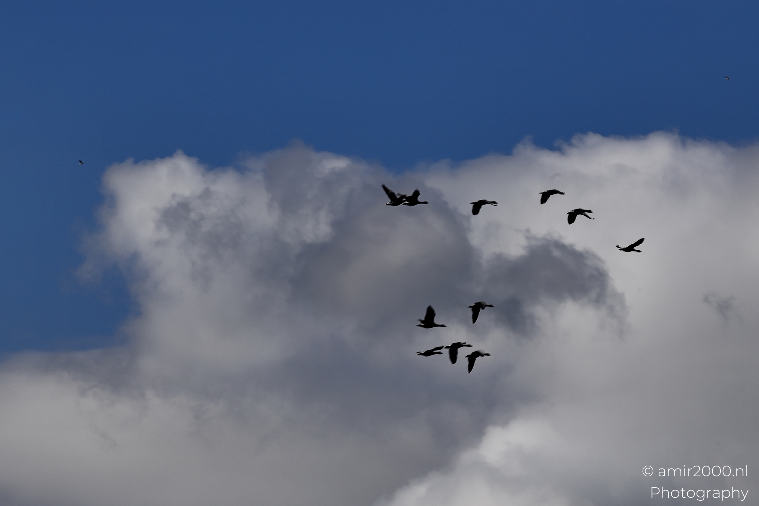 Nature Landscape Photography – By Amir Darzi
