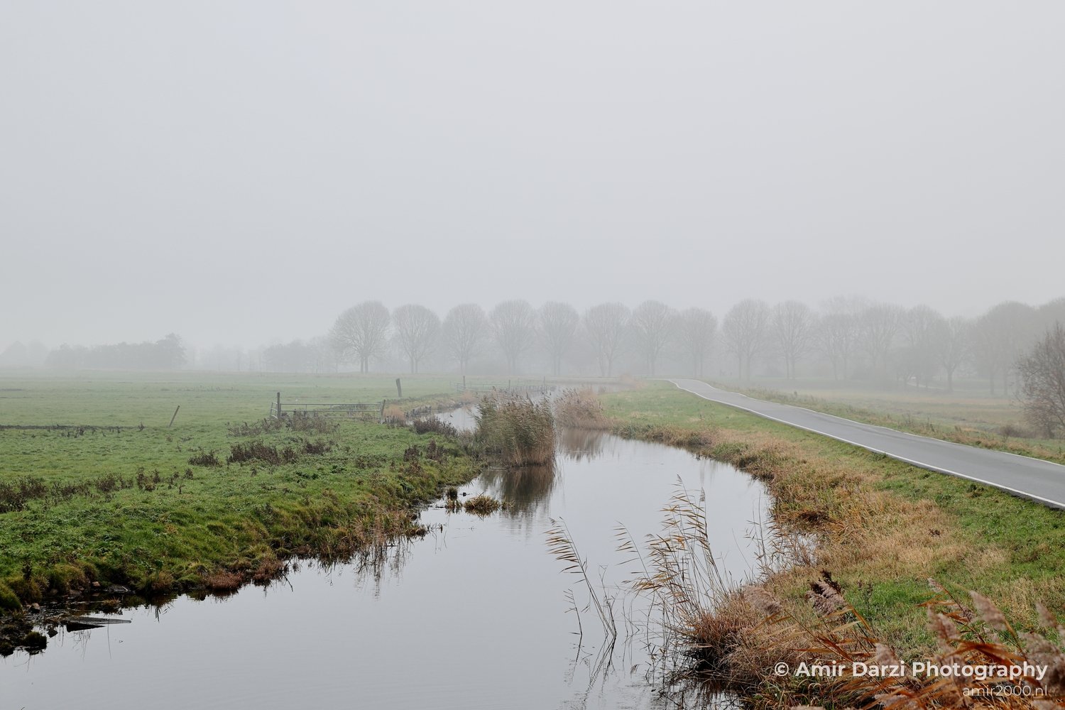 Foggy morning atmosphere beside calm waterway leading to horizon, bare deciduous tree line on right side of grasslands.