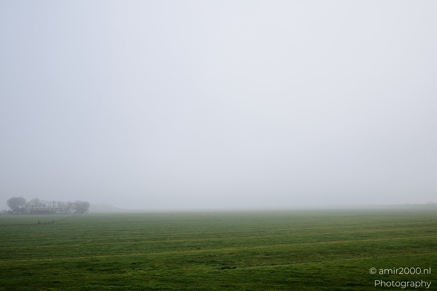 Fog-covered rural landscape featuring an open grassy area and a line of trees near the horizon.